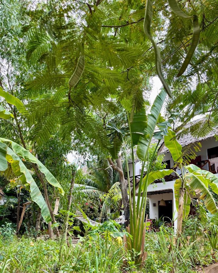 Atii Garden Bungalows Нунгви Экстерьер фото