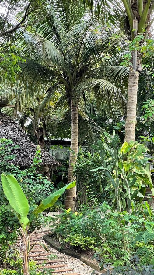Atii Garden Bungalows Нунгви Экстерьер фото