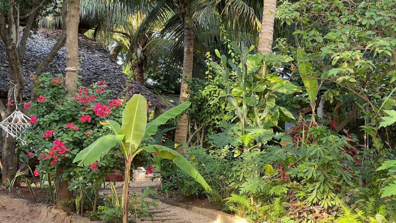 Atii Garden Bungalows Нунгви Экстерьер фото