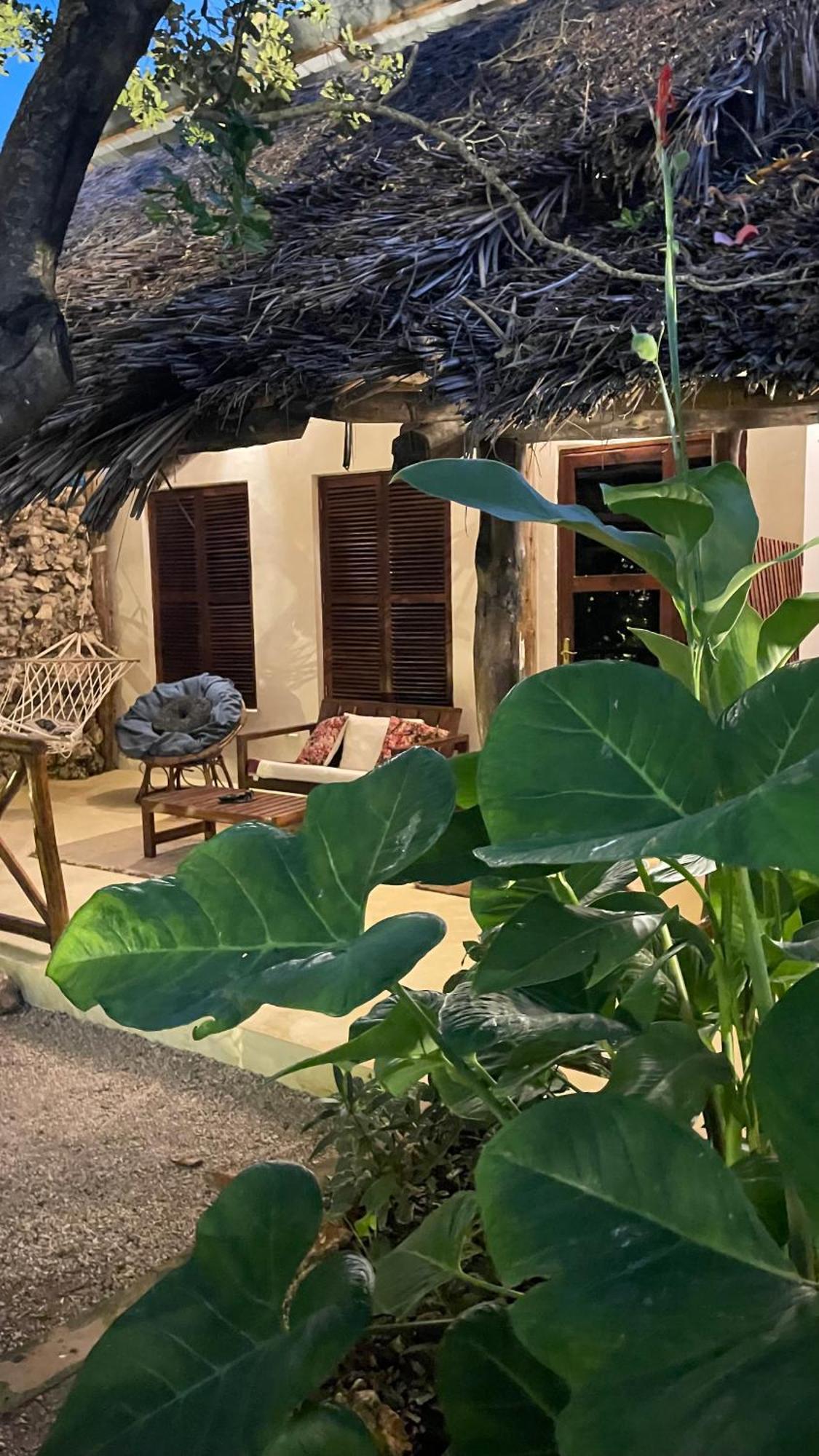 Atii Garden Bungalows Нунгви Экстерьер фото