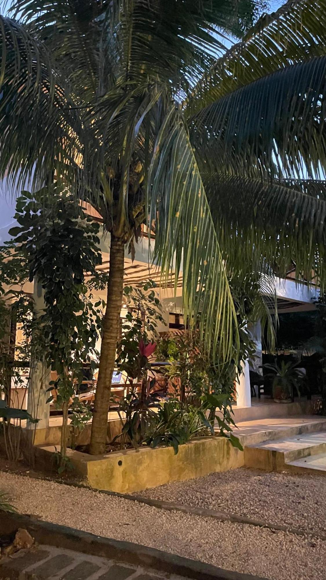 Atii Garden Bungalows Нунгви Экстерьер фото