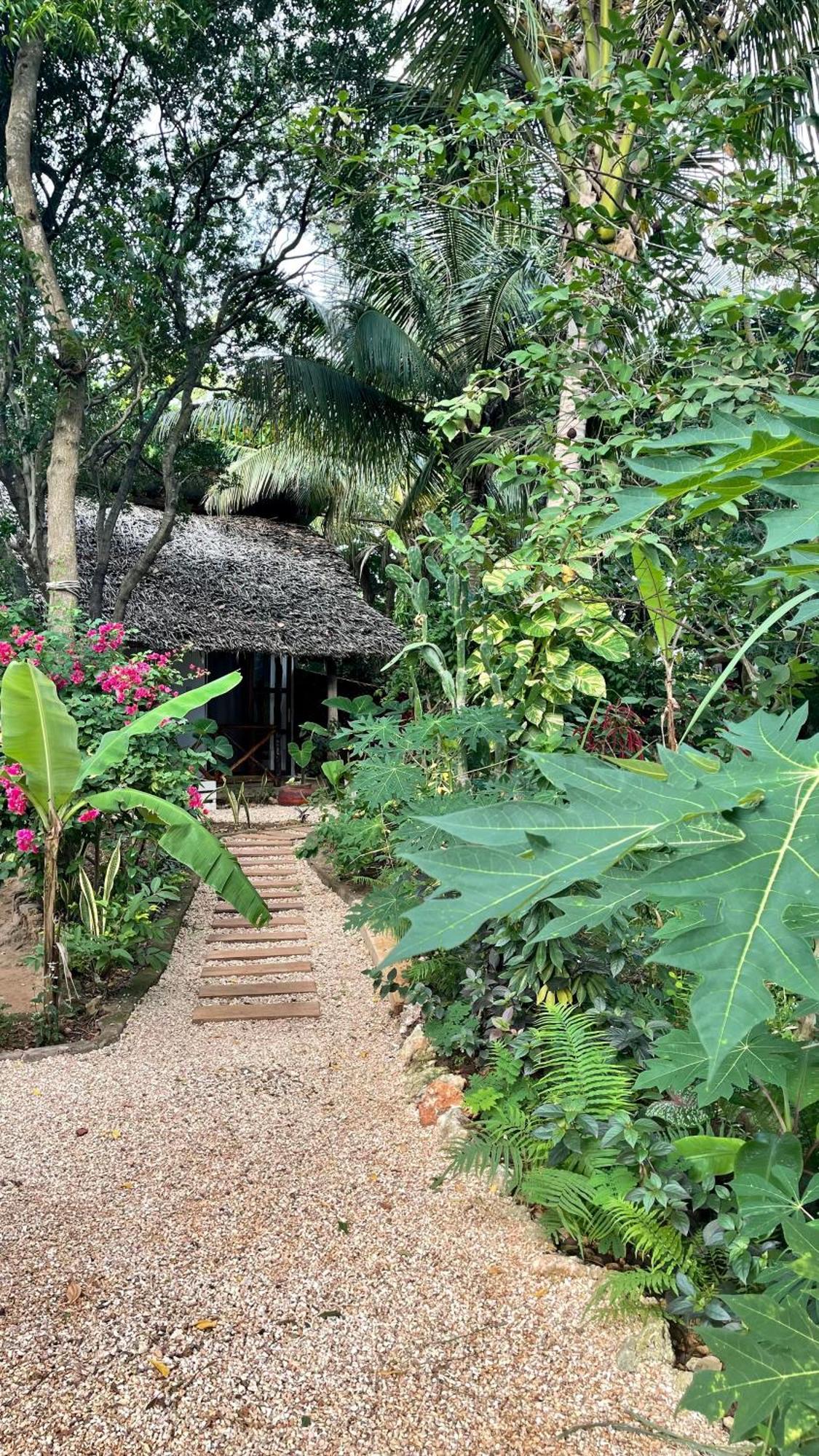 Atii Garden Bungalows Нунгви Экстерьер фото
